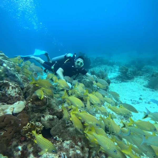 Scuba Diving in Cancun 25 scuba diving for beginners