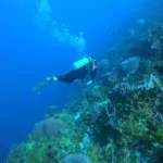 Girl that scuba in Cozumel