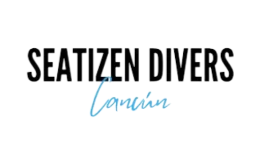 seatizen divers logo