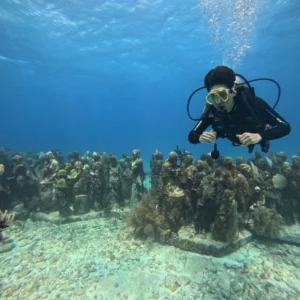 Scuba Diving For Beginners