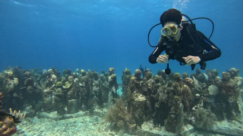 Discover scuba diving