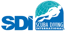 SDI Logo