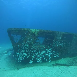 Shipwreck & Reef Certified Divers