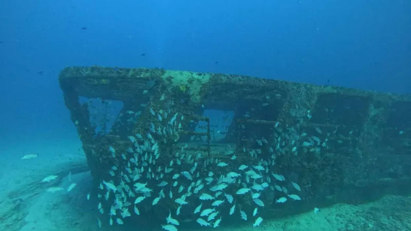 shipwreck diving in cancun