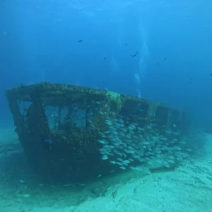 Shipwreck in Cancun