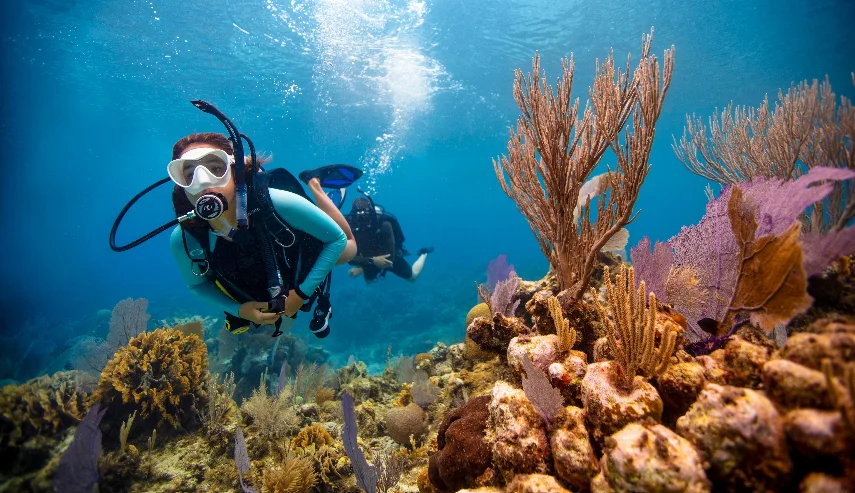 padi open water cancun