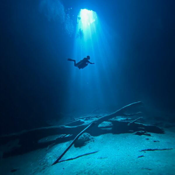 Scuba Diving in Cancun 16 cenote diving from cancun