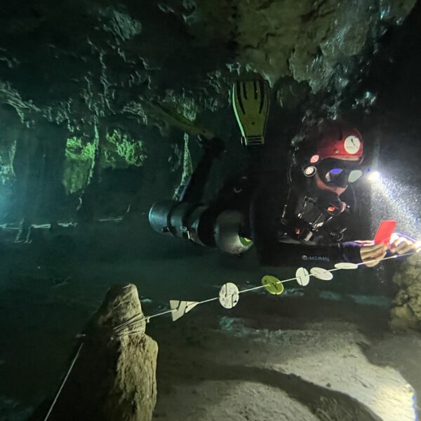 Cenotes Dives 3 full cave course
