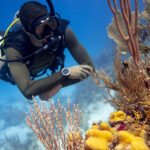 scuba diver cancun