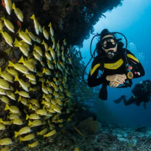 PADI Open water certification