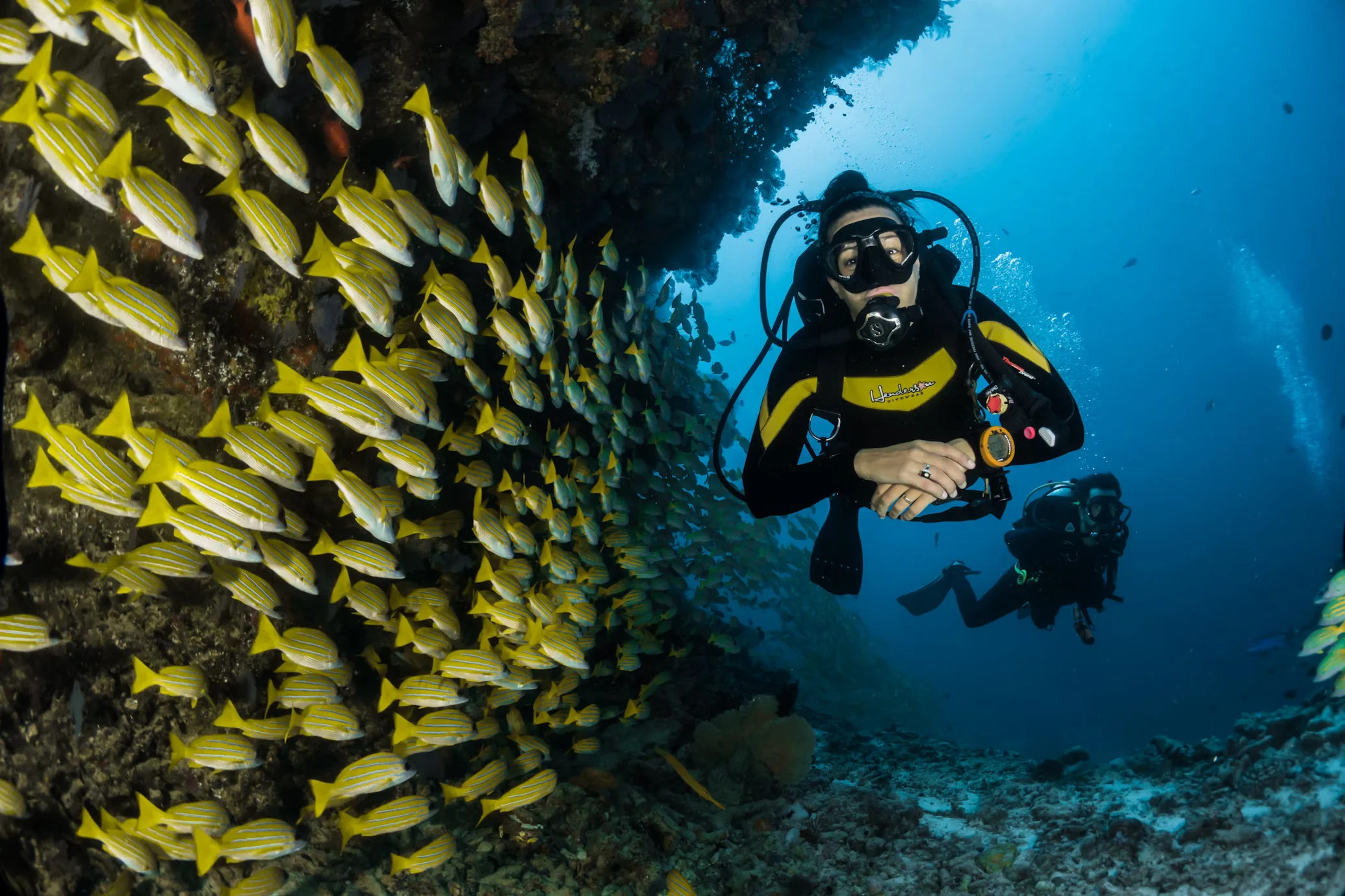 Read more about the article Questions about scuba diving in Cancun