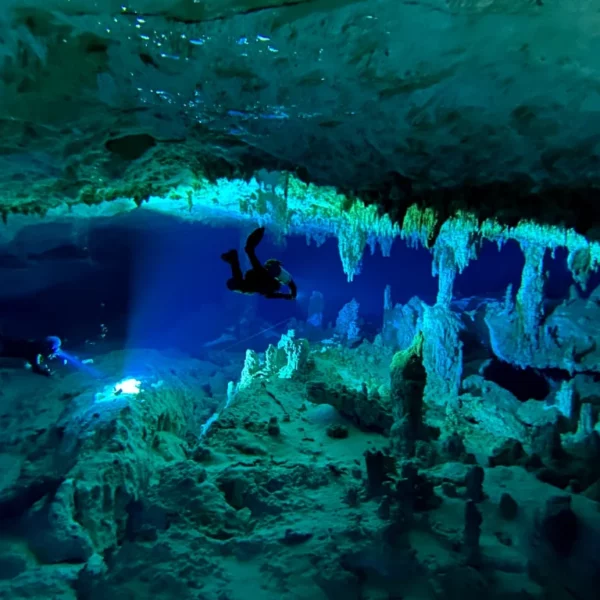 Scuba Diving in Cancun 3 cenote dives in Cancun