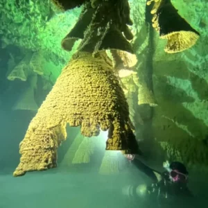 Cenotes Dives 1 cenotes diving