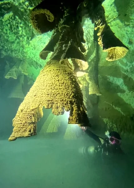 Scuba Diving in Cancun 28 cenotes diving