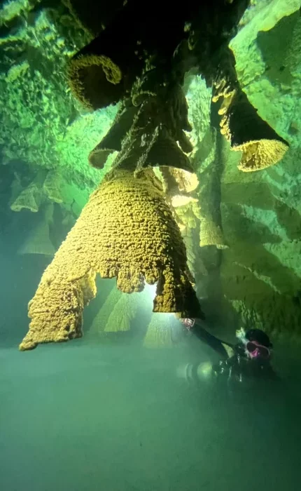 Full cave course 1 cenotes diving