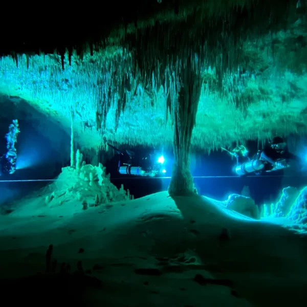 Scuba Diving in Cancun 11 scuba diving in cenotes