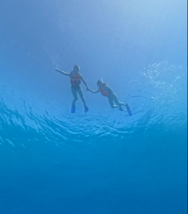 musa snorkeling cancun