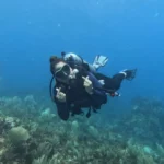 scuba diving in cancun
