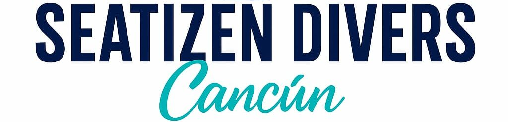 logo seatizen divers