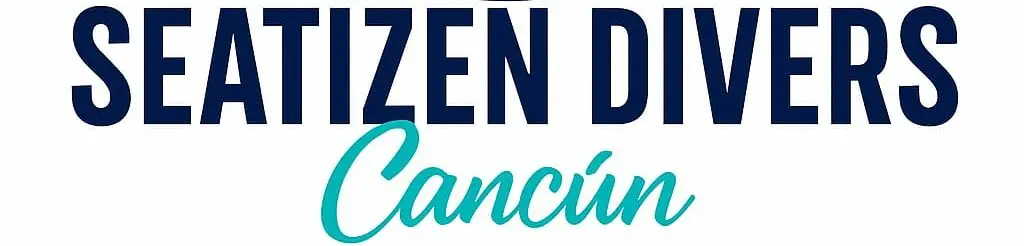 logo seatizen divers