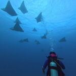 DCIM101GOPROGOPR8044.JPG