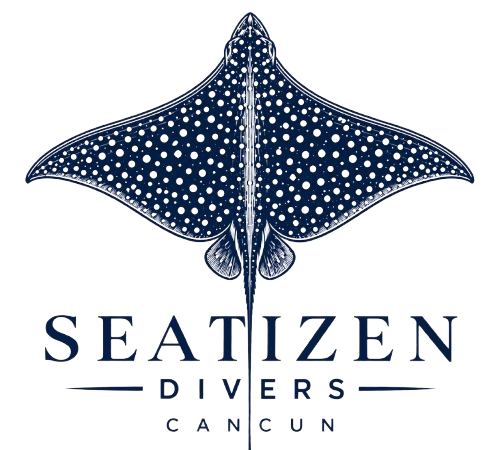 seatizen divers logo