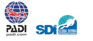 padi and sdi logos