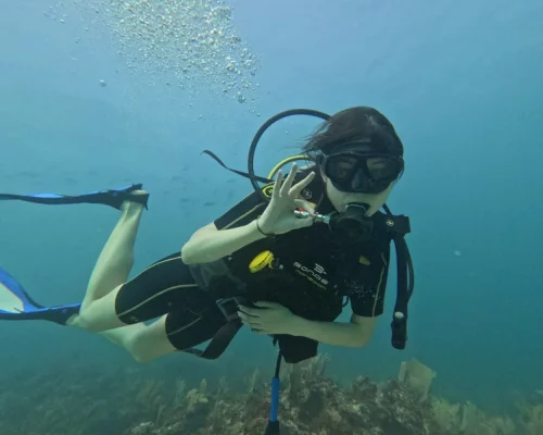 certified diver in cancun