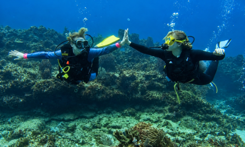Buceo en cancun, principiantes certificados y cursos