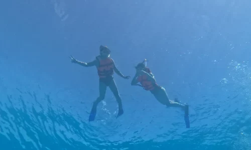 snorkeling in cancun